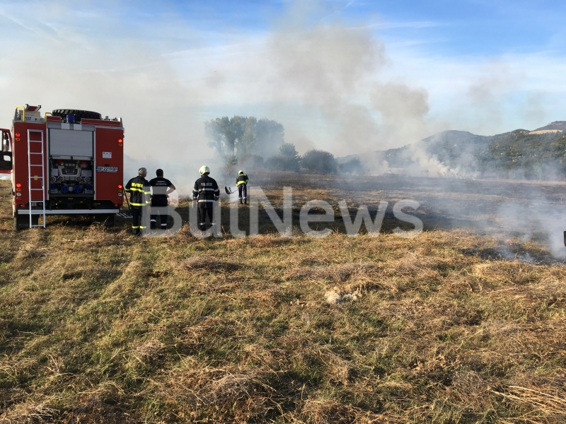 Голям пожар в полето край Враца, става опасно за лозята (СНИМКИ)