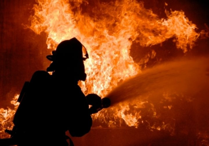Огнен ад затри 92 животинки в Ломско 