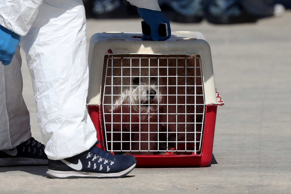 След седмица бойкот: Малта спаси 58 мигранти и куче, закъсали в морето (СНИМКИ)