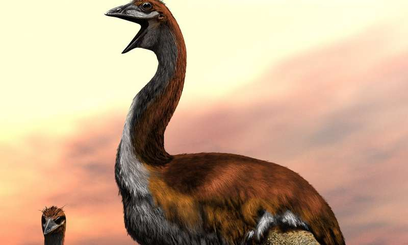 Учени разказаха коя е била най-голямата птица в историята на Земята 