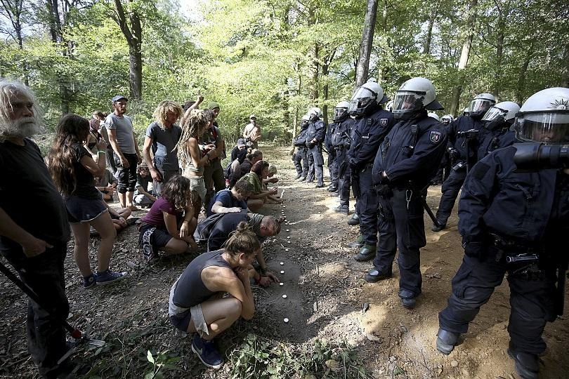 Победа за екозащитниците: Германските власти спряха изсичането на гората Хамбах