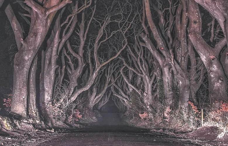 Заснеха духа на знаменитата Сива лейди на "кривата" алея в Ирландия (СНИМКИ/ВИДЕО)