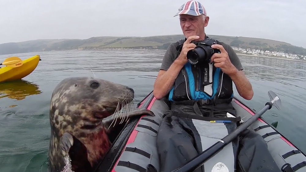 Вижте как тюлен се опита да влезе в кануто на турист и да се сприятелят (ВИДЕО)