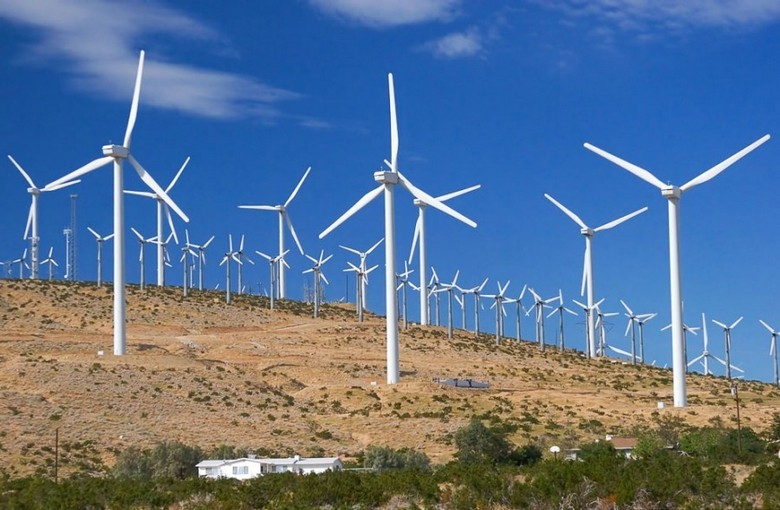 Учени от Харвард шокиращо: Вятърните електроцентрали ще унищожат Земята, по-вредни са за околната среда от дизела