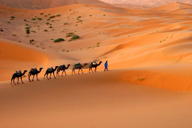 Учени разкриха тайната на Сахара!