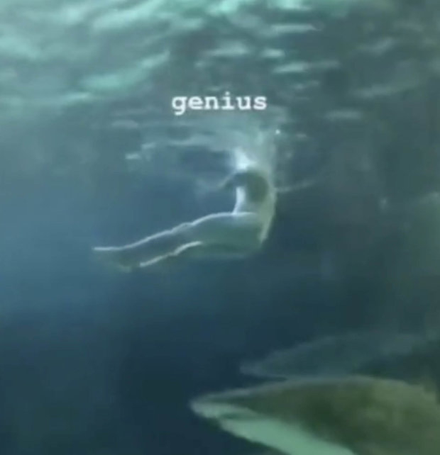 Странен момент: Чисто гол мъж влезе да плува в аквариум с акули (ВИДЕО)