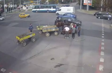 Това държава ли е? Шокиращо ВИДЕО с коне и две каруци, които връхлитат в галоп кола на голямо кръстовище в Хасково