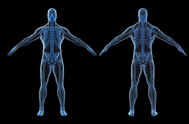 12 мита за човешкото тяло