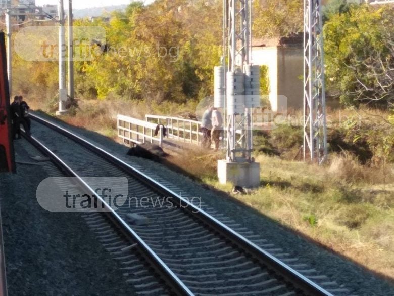 Влак блъсна каруца край Стара Загора, полиция и жандармерия отцепиха района (СНИМКИ)