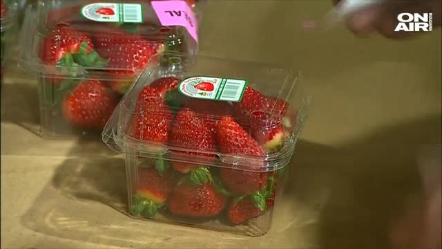 Арестуваха 50-годишна работничка за иглите в ягоди в Австралия