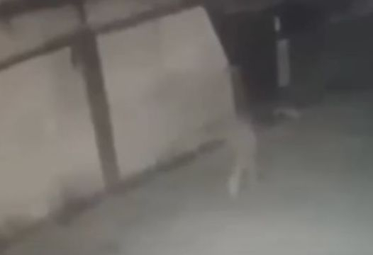 Шокиращо: Камера за видеонаблюдение улови как мъж изчезва като призрак на улицата (ВИДЕО)