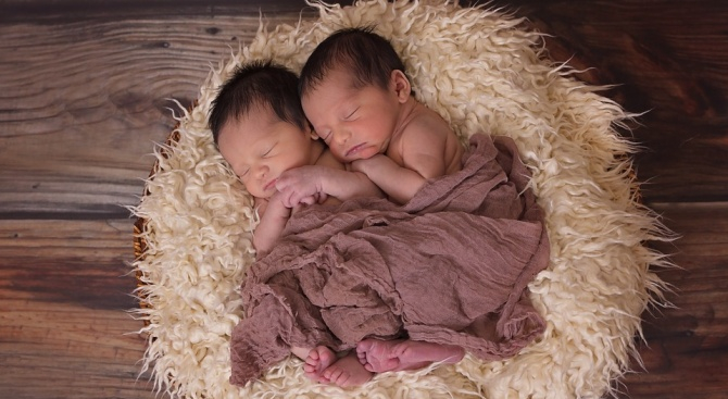 Китайски учени създадоха генномодифицирани близнаци за първи път в света