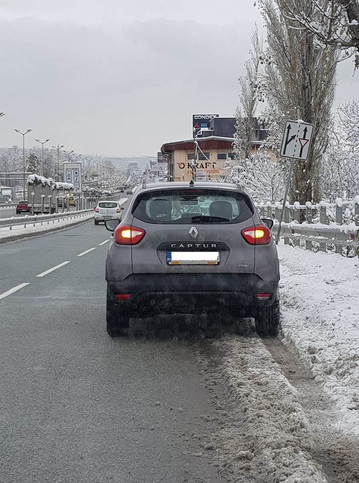 Само в БЛИЦ! Мацка по рокле застана на Столичното околовръстно, прекръсти се и тръгна да… (СНИМКИ/ВИДЕО)