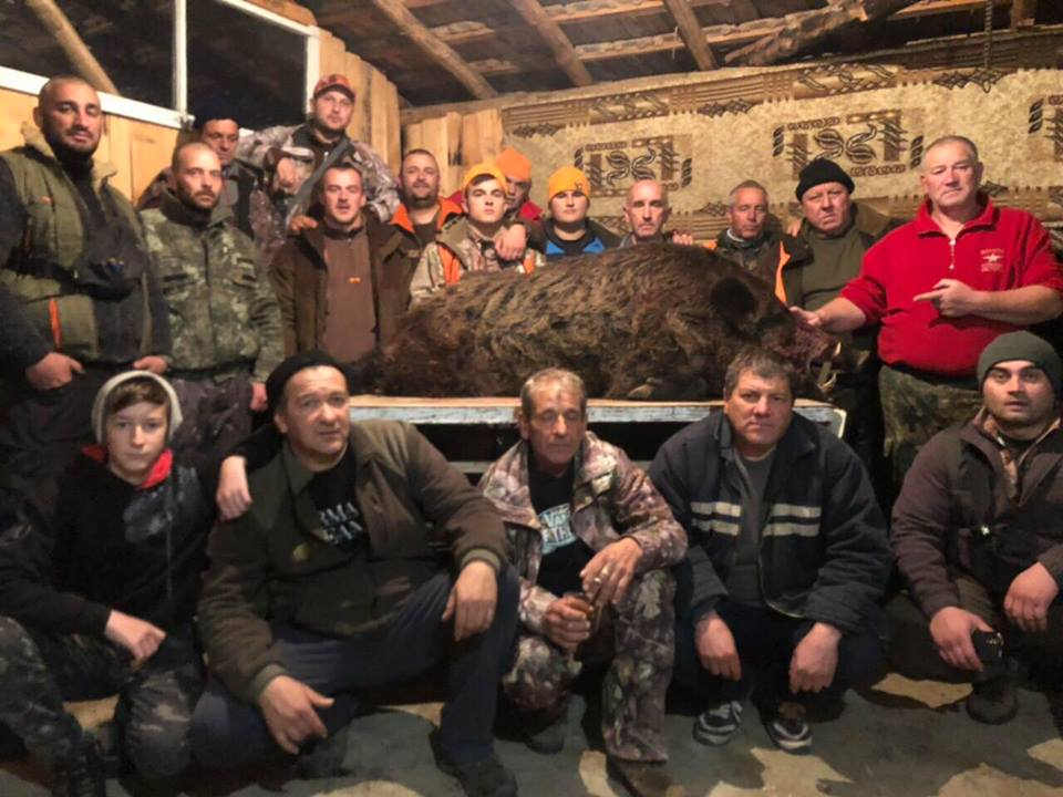 Авджии от Гайтаниново убиха 216-килограмов звяр (СНИМКИ 18+)