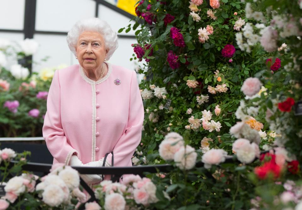 Нахалството на Меган Маркъл постави кралица Елизабет II на колене, не е за вярване какво бе принудена да стори! (СНИМКИ)