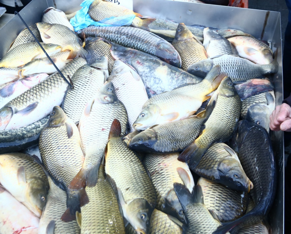 Страшна зараза в рибите по магазините откри проверка преди Никулден
