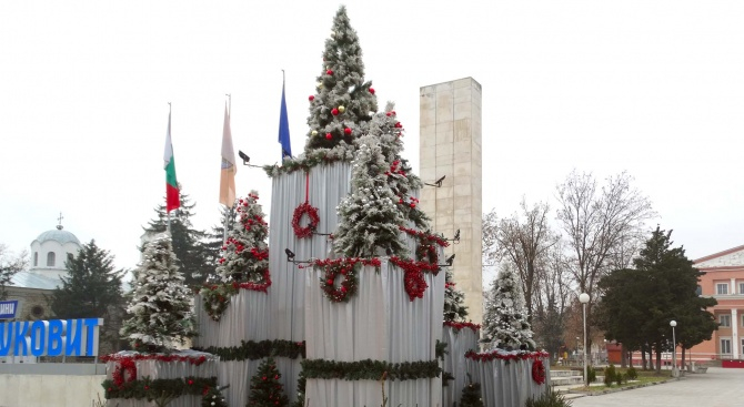 120 елхи украсиха центъра на Луковит за 120-годишнината от обявяването му за град