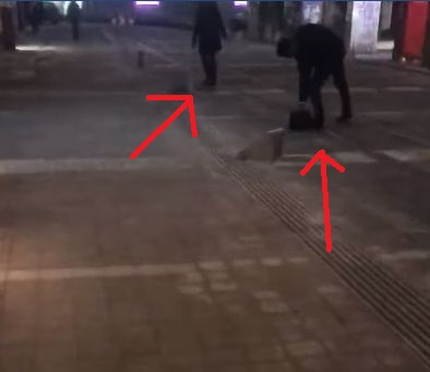 Само в БЛИЦ! Кьоркютук пияна жена върши куп поразии по тъмна доба в центъра на София (СНИМКИ/ВИДЕО)