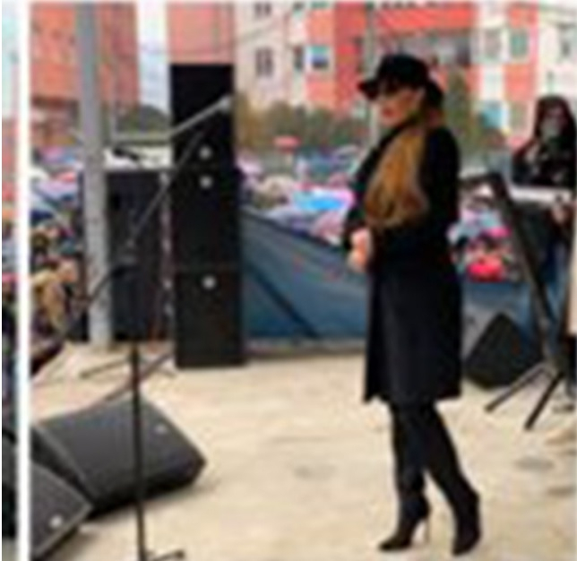 Цялата Косово Митровица пее с Цеца, ето какво техните медии пишат за концерта на звездата (ВИДЕО)