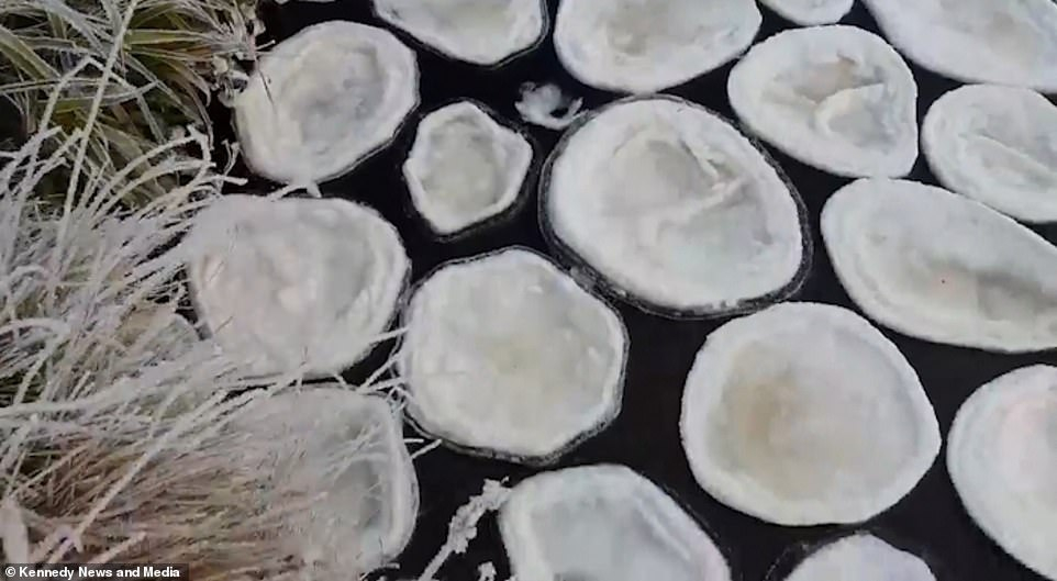 Уникално рядък феномен с ледени "палачинки" шашна мрежата (СНИМКИ/ВИДЕО)