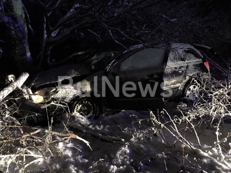 Тежка катастрофа на Е-79, лекари и полицаи се борят да извадят шофьора от смачкания автомобил (СНИМКИ)