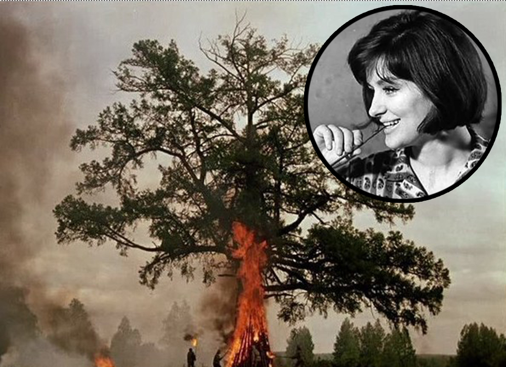 Ванга предсказва смъртта на руска режисьорка чрез проклятието на вековно дърво