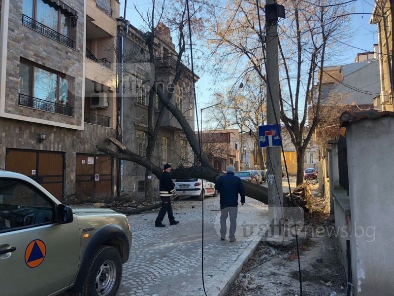 Стихия! Трясък и ужас на ул."Хъшовска" в Пловдив, струпаха се полицаи и пожарникари! (СНИМКИ)