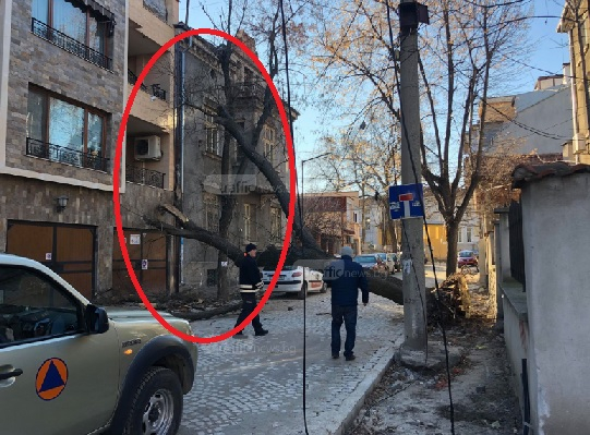 Стихия! Трясък и ужас на ул."Хъшовска" в Пловдив, струпаха се полицаи и пожарникари! (СНИМКИ)