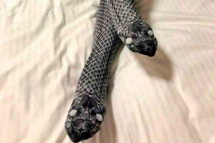 Жена се опита да съблазни съпруга си със змийски чорапи, но сексуалната игра се превърна в истински ад! 