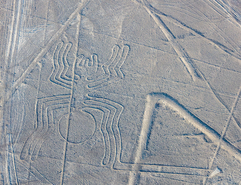 Учени разкриха загадката на гигантските рисунки на платото Наска