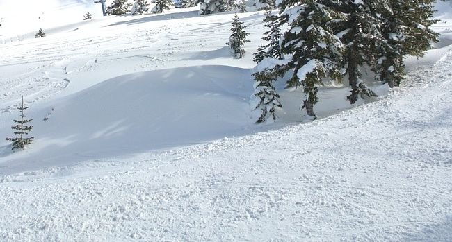 Жалбите на еколозите паднаха в съда, ски-зона „Миджур“ ще се строи от частни инвеститори 