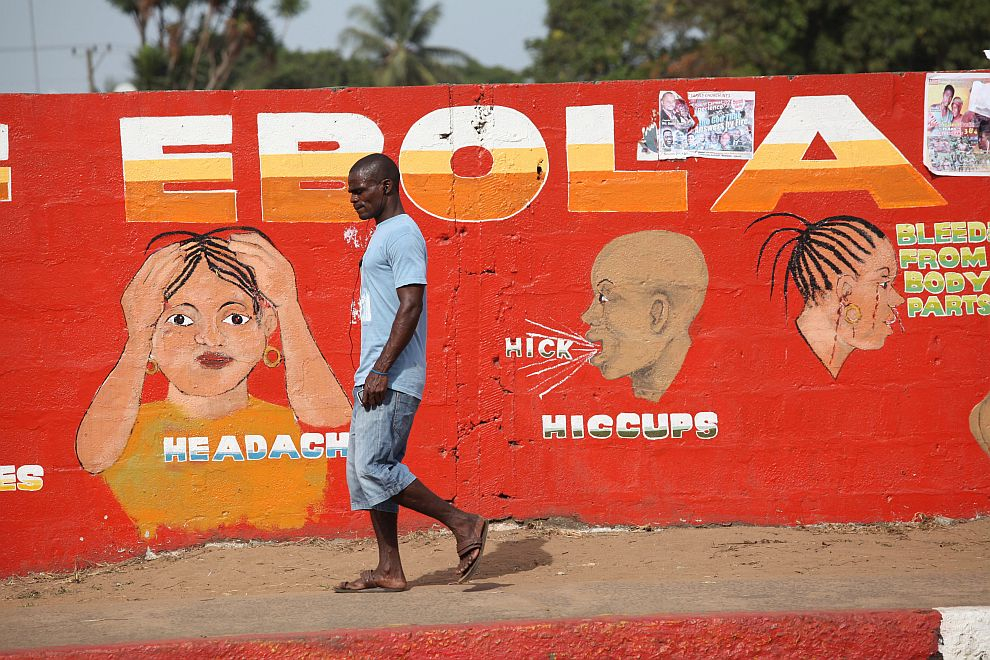 Откриха в прилеп смъртоносния вирус Ебола