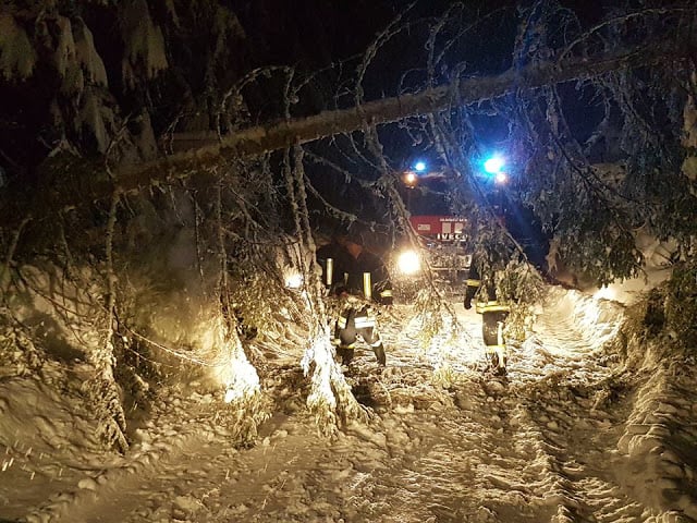 Бедствието в Смолянско се разраства! Преспи и прекършени дървета по заринатите пътища вдигнаха по спешност армията и МВР (СНИМКИ)