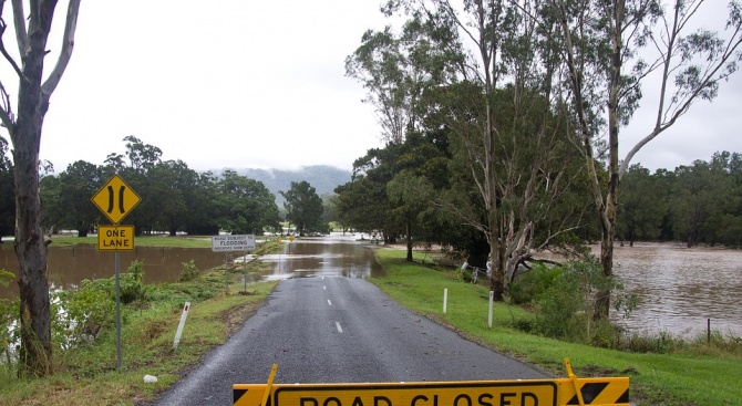 В Австралия е ужас! Чудовища плъзнаха по улиците след потопа (ВИДЕО)
