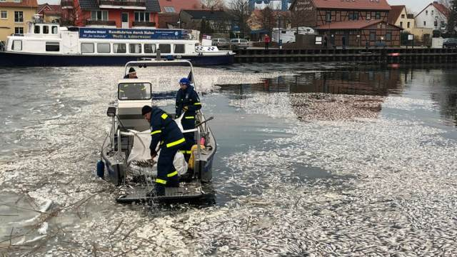 В река в Германия откриха нещо, което накара полиция, ветеринари и еколози да се чудят и маят (СНИМКИ)