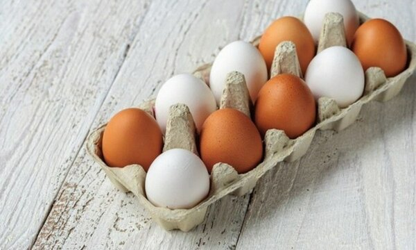 Учени от Корнуел посочиха кафявите или белите яйца са по-полезни и по какво се отличават