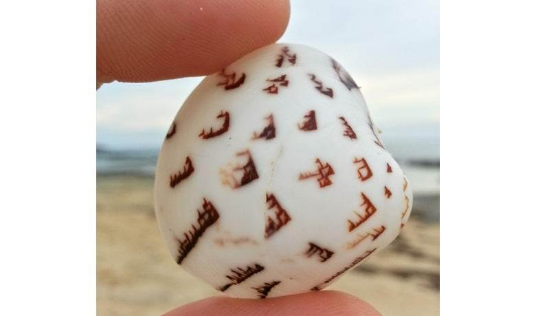 Странен камък с извънземни знаци от японски плаж взриви мрежата (СНИМКА)