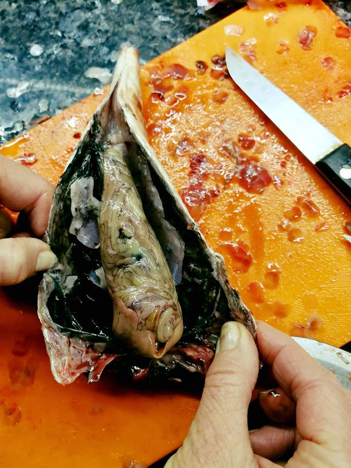 Мъж си купи риба от пазара в Бургас и остана отвратен от гнусотията, която откри в нея (СНИМКА)