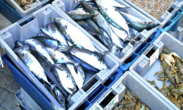 Мъж си купи риба от пазара в Бургас и остана отвратен от гнусотията, която откри в нея (СНИМКА)