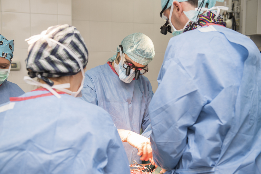 Мултидисциплинарен екип от кардиохирурзи, кардиолози и реаниматори в Аджибадем Сити Клиник Бургас за първи път извърши минималноинавазивна смяна на митрална клапа