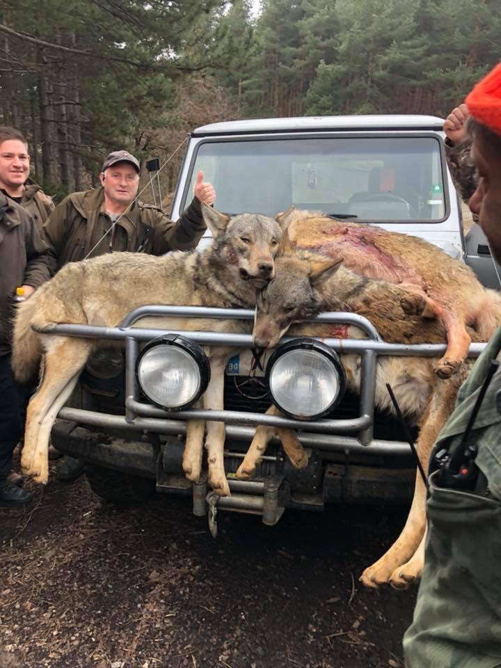 Сензационни СНИМКИ само в БЛИЦ! Братът на Жоро Шопа живее като римски император!