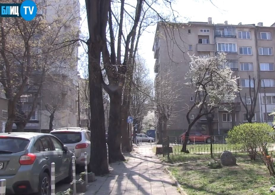 БЛИЦ TV: Странна творба край "Пирогов" озадачава столичани 