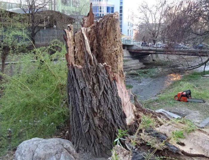 Страшен тътен огласи Благоевград, случи се нещо шокиращо! (СНИМКИ)