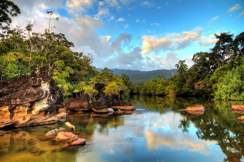 10 факта за тайнствения остров Мадагаскар