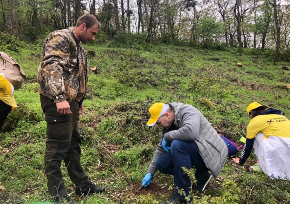  Служители на Райфайзенбанк засадиха нови дръвчета в Природен парк „Беласица“