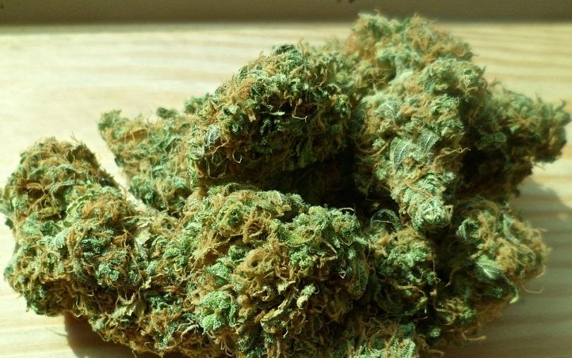 Албанската полиция задържа 204 кг марихуана