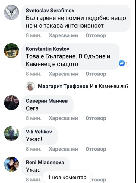 Невиждана стихия удари Плевенско! Дворове и ниви побеляха все едно е зима (СНИМКИ/ВИДЕО)