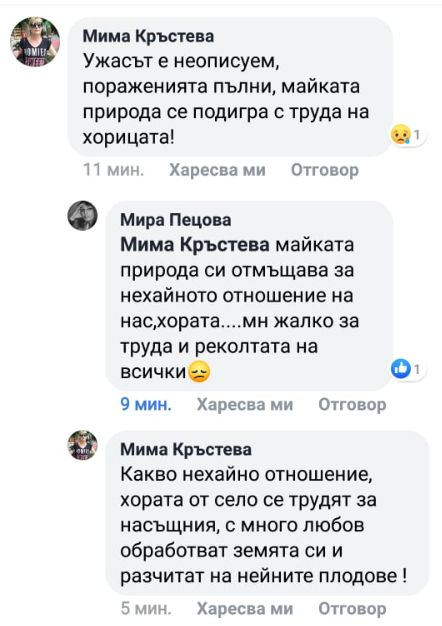 Невиждана стихия удари Плевенско! Дворове и ниви побеляха все едно е зима (СНИМКИ/ВИДЕО)