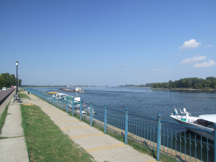 Трагедията, станала на брега на Дунав, е неописуема