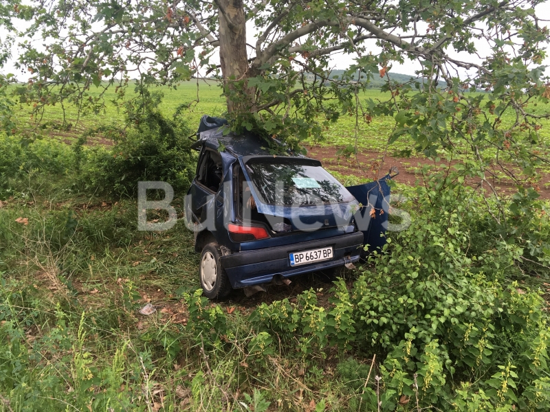Кола се разцепи при зловещ удар в дърво край Враца, има загинал (СНИМКИ)
